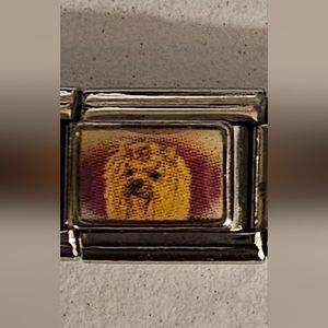 Choose From 5 Dog Italian Charms